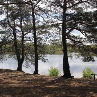 Visitor sat by the water at Frensham Little Pond, Surrey